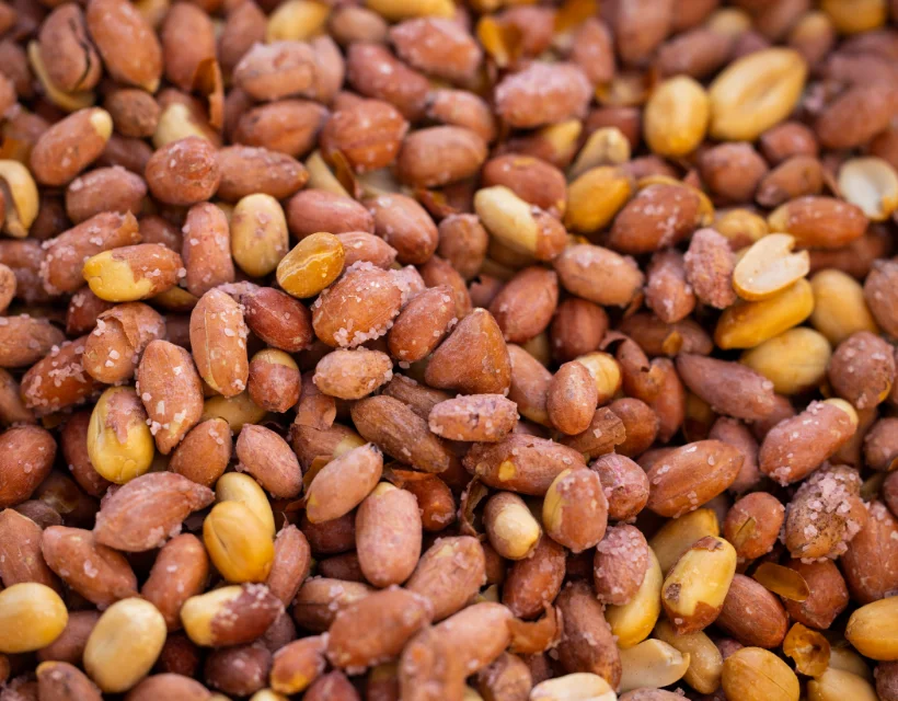 Fasonistan | Tuzlu Yer Fıstığı Fason Paketleme: Rutubet ve Tuz Kristalizasyonu Nasıl Önlenir?