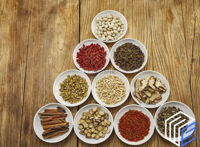 Fasonistan | Tedarik