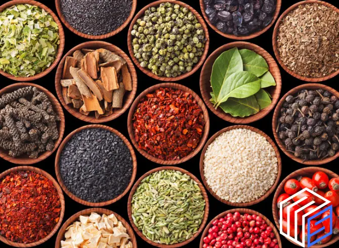 Fasonistan | Tedarik